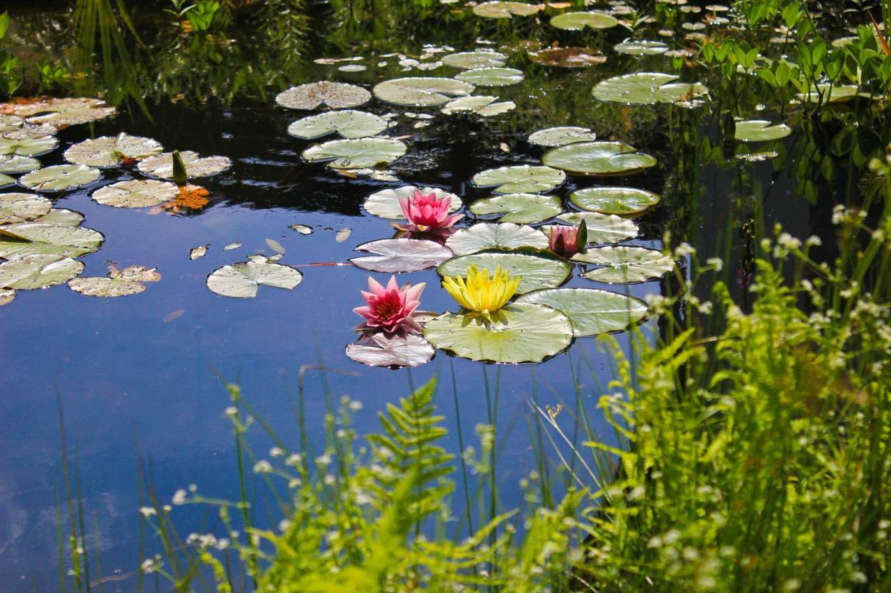 An Der Hainmuehle Lubben Bagian luar foto