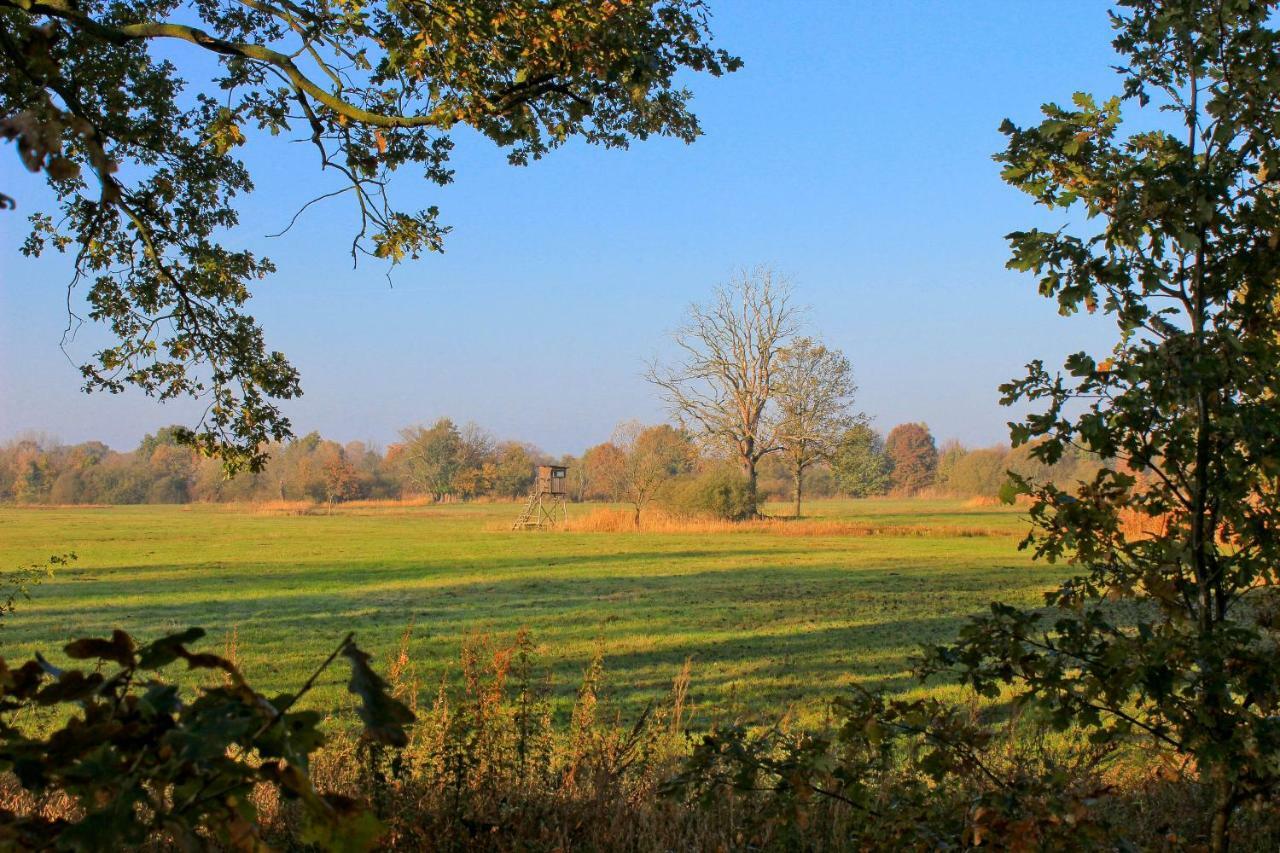 An Der Hainmuehle Lubben Bagian luar foto