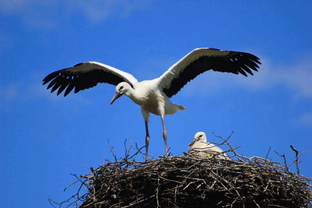 An Der Hainmuehle Lubben Bagian luar foto